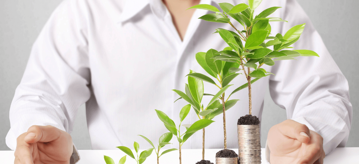 A Strategic Guide to Various Investment Options